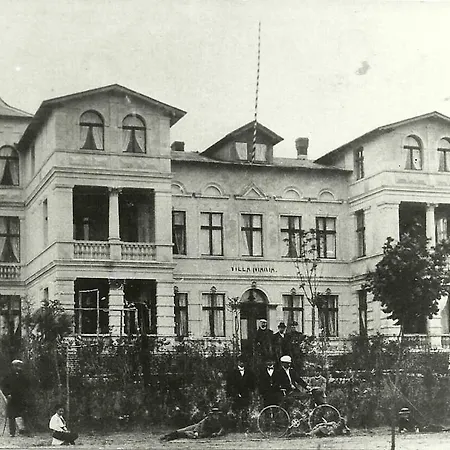 فيلة Maria 10