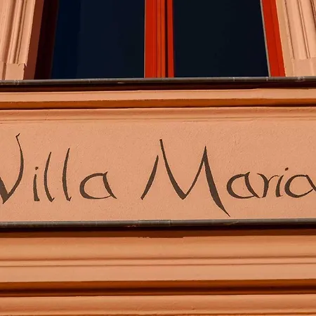 فيلة Maria 10 *